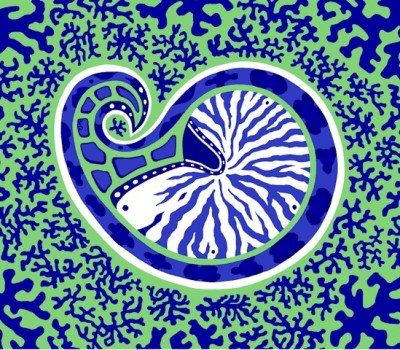 Nautilus Paisley I